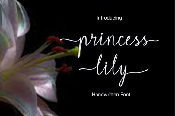 Princess Lily Font for Elegant Branding