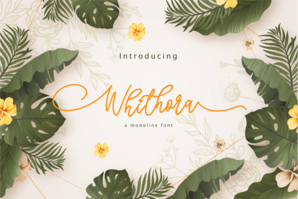 Whithora: A Delicate Script Font