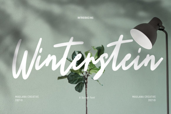 Winterstein: An Elegant Script Font for Editorial Warmth